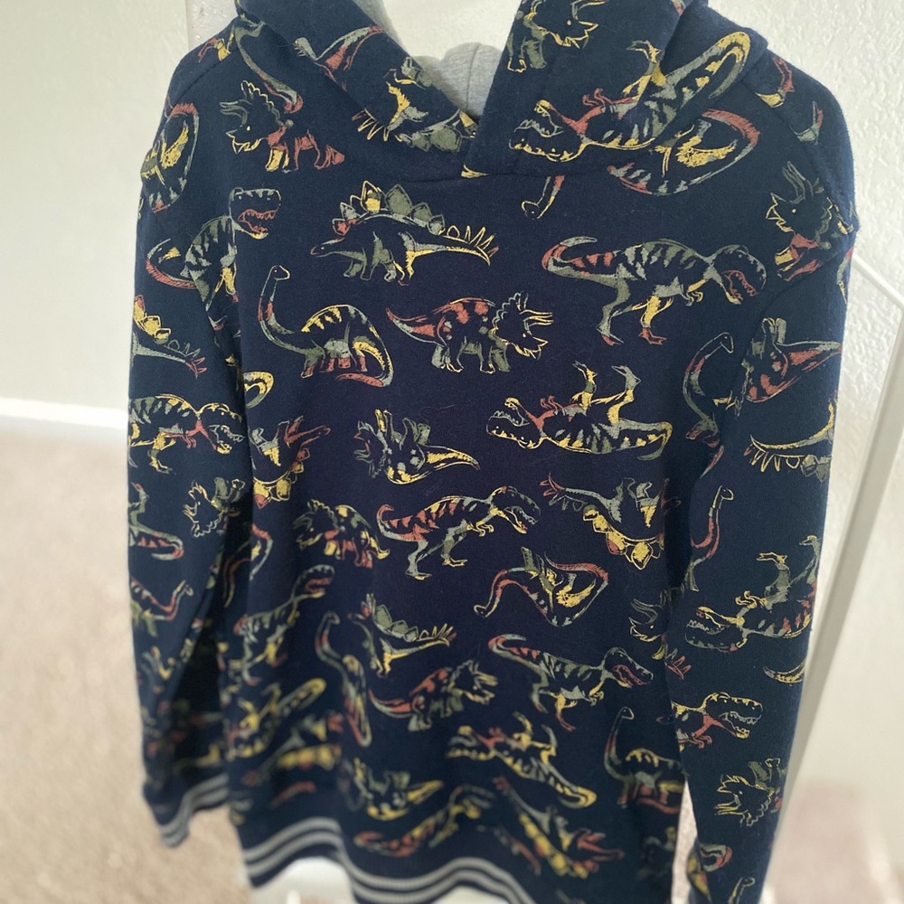 Dinosaur Print Hoodie